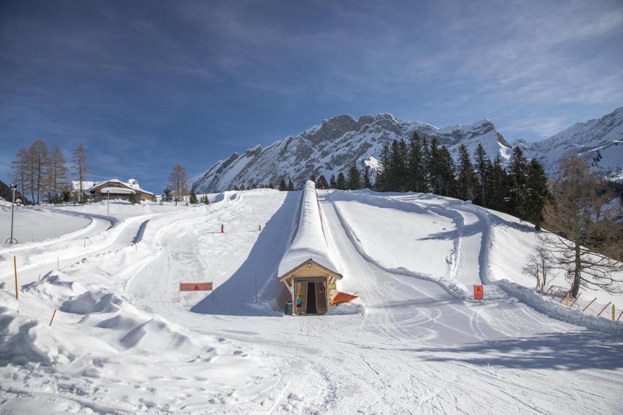 Appartement Sur Les Pistes De *
